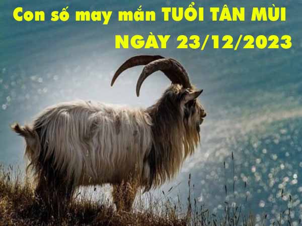 thống kê con số may mắn tuổi Tân Mùi ngày 23/12/2023